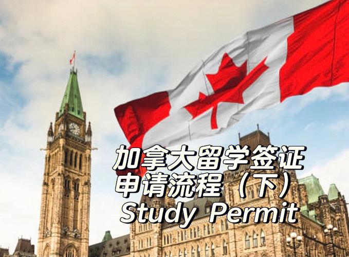 加拿大签证办理流程_加拿大签证办理流程图