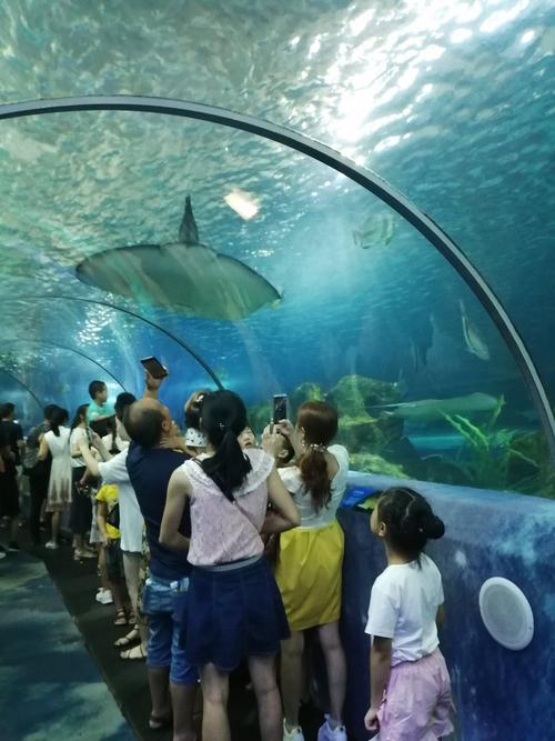 长沙海洋馆门票多少钱_长沙最值得去的免费景区